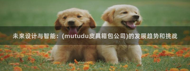 琳琅娱乐装7O777