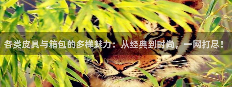 琳琅娱乐平台怎么样啊