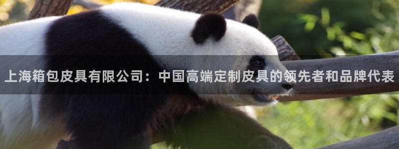 祖龙娱乐官网爱在琳琅