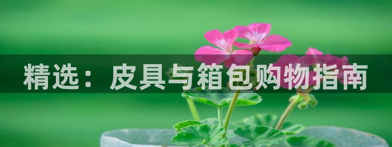 琳琅娱乐平台怎么样啊