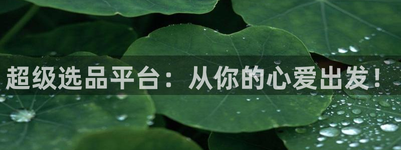 琳琅娱乐是什么