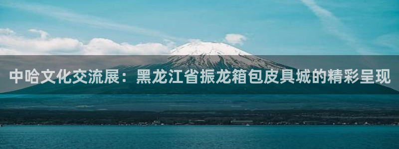 琳琅科技娱乐机器人