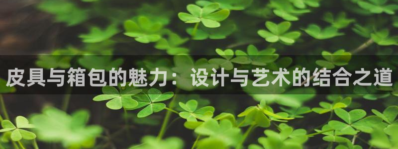 琳琅娱乐总代