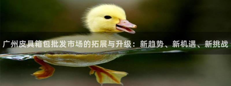 琳琅娱乐平台怎么样知乎