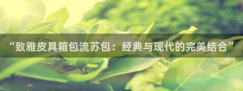 琳琅科技娱乐机器人插件