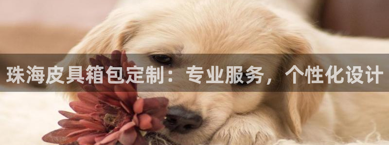 琳琅娱乐平台怎么样知乎