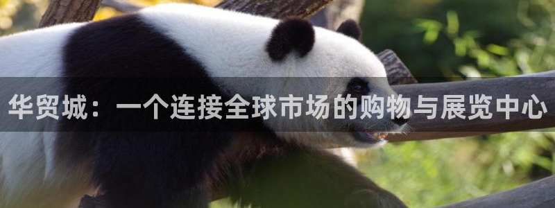 娱乐从琳琅榜开始