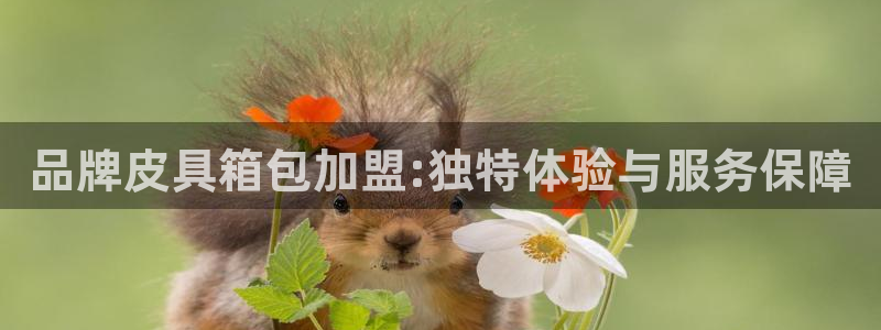 琳琅娱乐招商注册