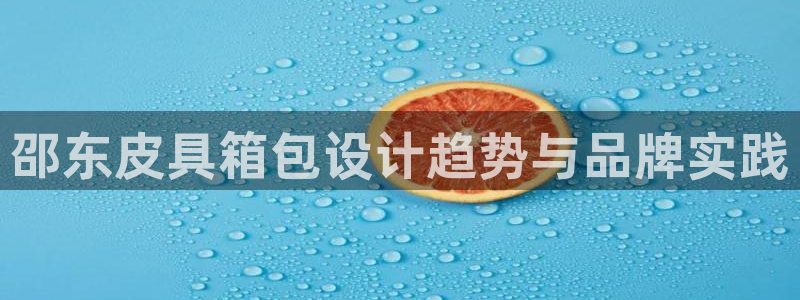 琳琅娱乐组飞车