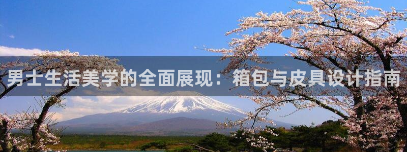 琳琅娱乐组飞车