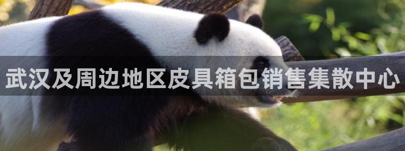 琳琅娱乐社区宅男