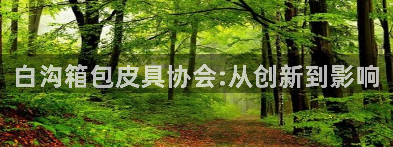琳琅作者娱乐圈女主