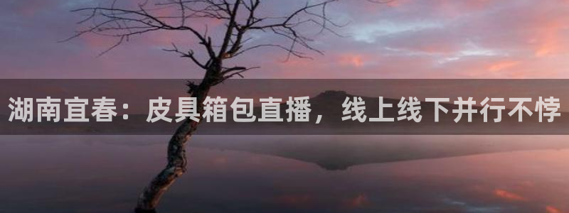 琳琅娱乐代理怎么做的