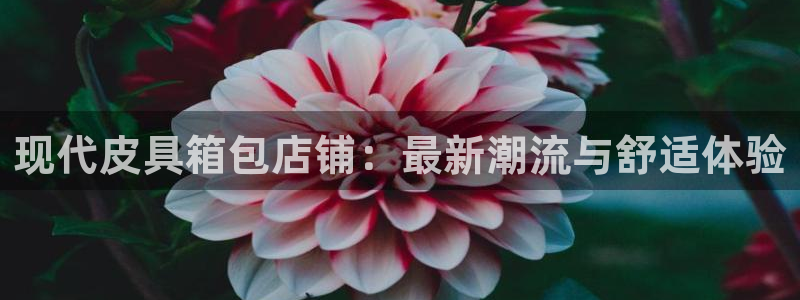 琳琅娱乐前7O777