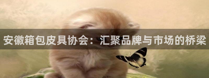 琳琅娱乐工作室招聘信息