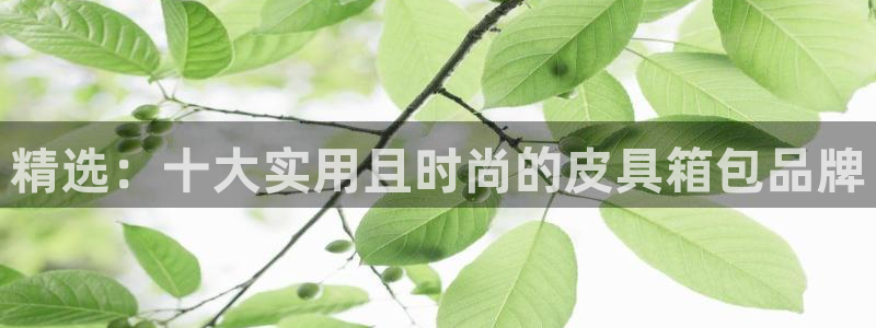 琳琅科技娱乐QQ机器人