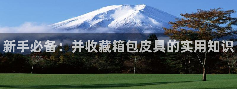 琳琅娱乐代理怎么做的