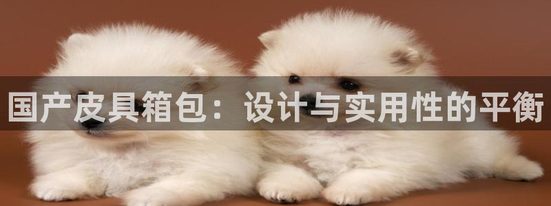 琳琅娱乐工作室怎么样