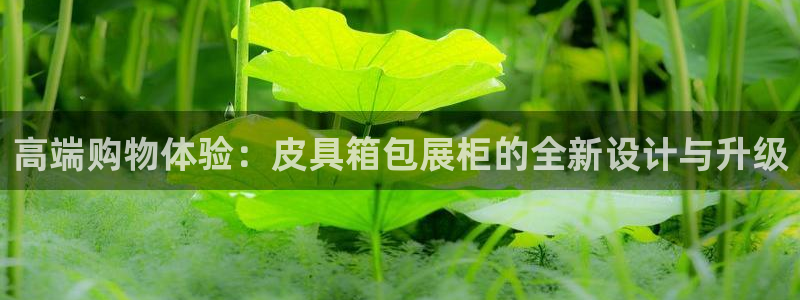 琳琅娱乐平台怎么样啊