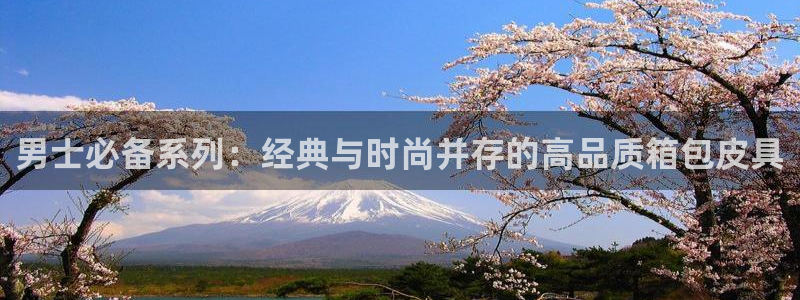 琳琅科技娱乐机器人插件