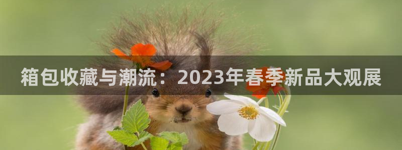 琳琅娱乐是什么