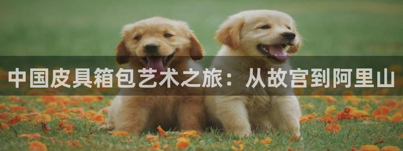 琳琅娱乐场所在哪里