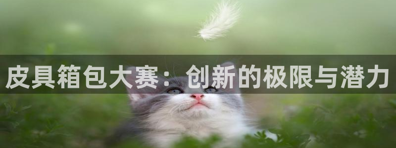 琳琅社区文艺娱乐