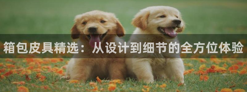 琳琅国际娱乐会所怎么样