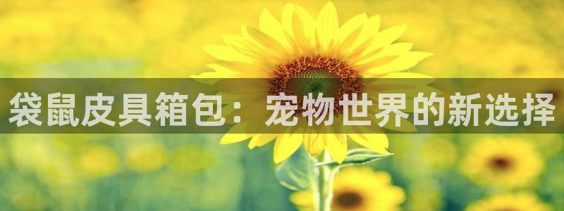 琳琅娱乐在哪直播的