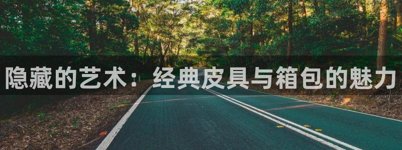 琳琅科技娱乐机器人