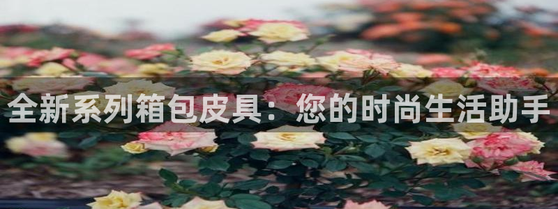 琳琅娱乐APP下载