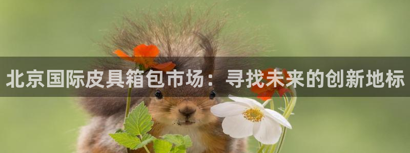 琳琅娱乐工作室地址查询