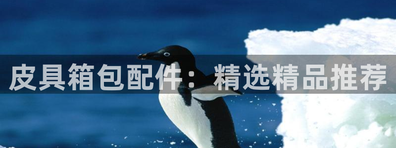 琳琅娱乐社区600u