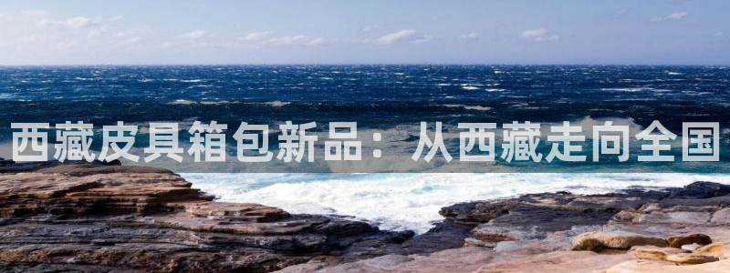 琳琅作者娱乐圈女主