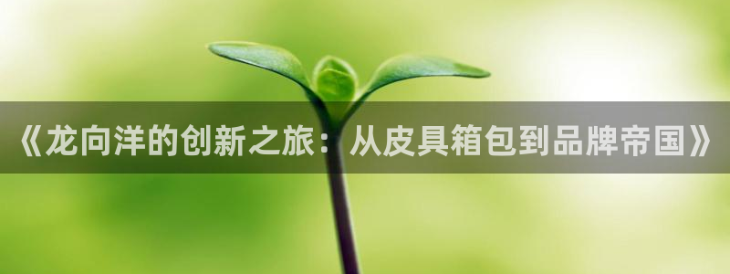 琳琅娱乐在线观看