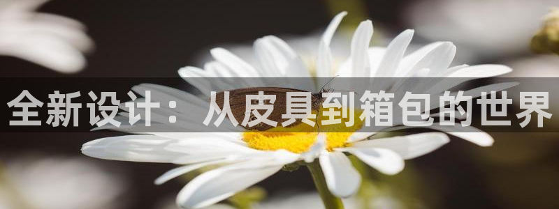 琳琅娱乐主管是谁