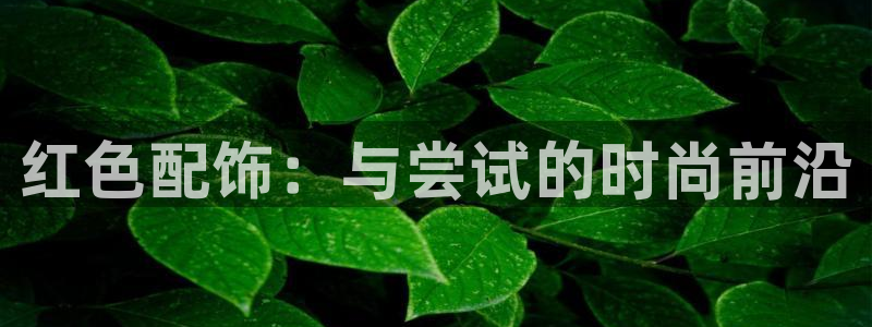 琳琅国际娱乐会所电话