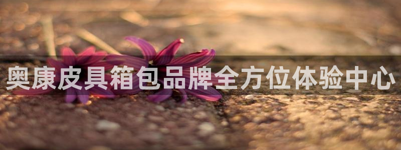 琳琅娱乐放心33300