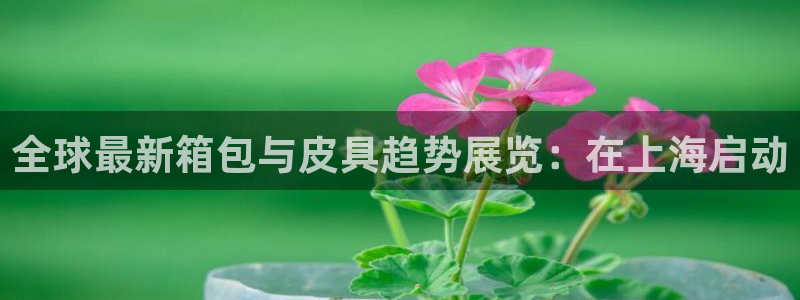 琳琅娱乐导航