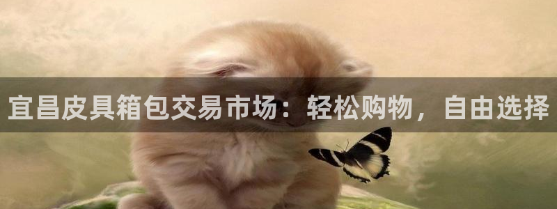 琳琅娱乐注册咋7O777