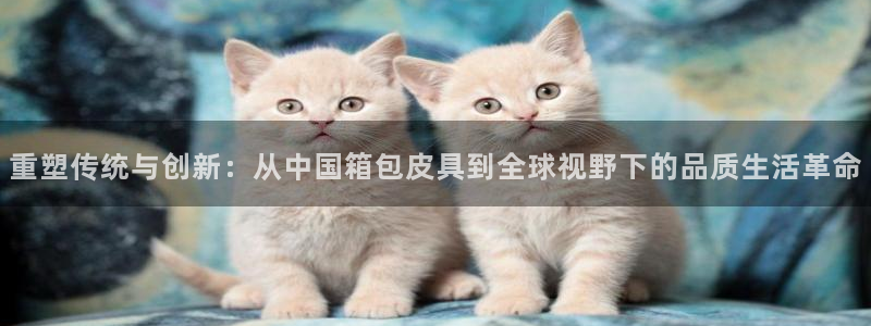 琳琅娱乐是什么