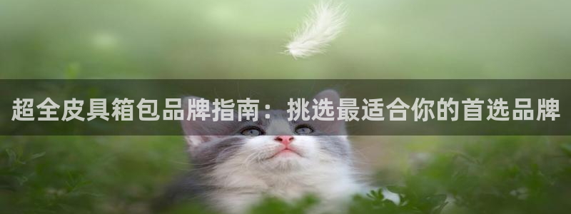 琳琅娱乐 全麦优质