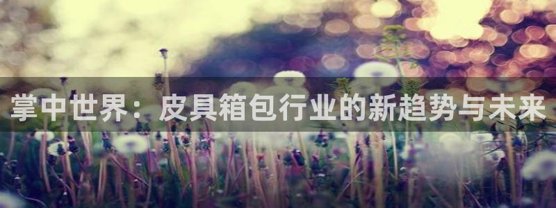 琳琅娱乐天美2