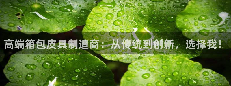 琳琅娱乐组飞车