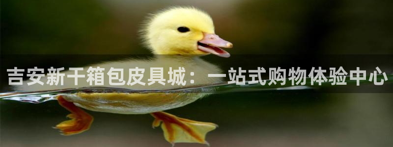 琳琅科技qq娱乐机器人怎么搞