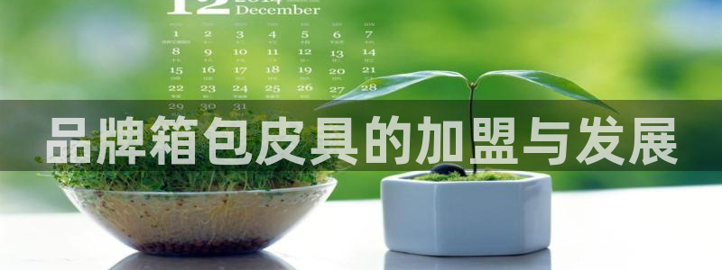 琳琅娱乐工作室