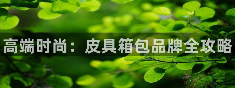 琳琅娱乐代理注册