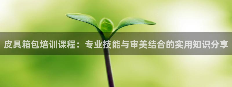 琳琅偏爱娱乐