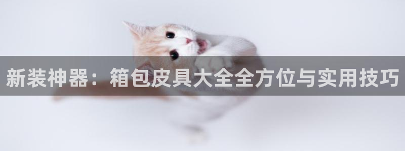 琳琅QQ娱乐机器人