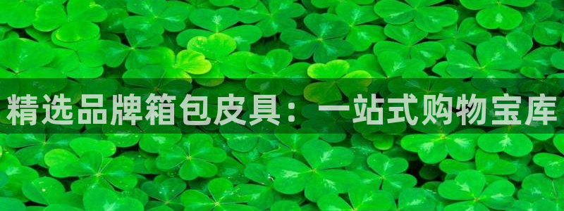 琳琅娱乐代理人是谁